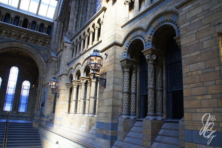Stairs, wall and decorations at the Natural History Museum