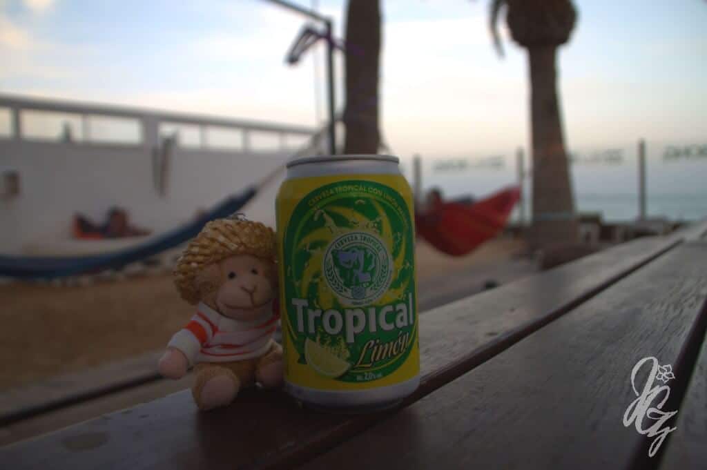 Charlie at the picnic table with a Tropical beer