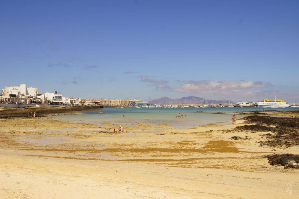 The beach in Corralejo with view towards Lanzarote