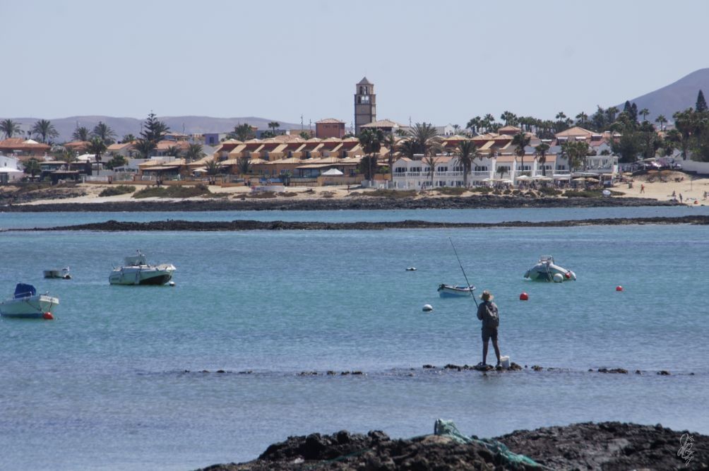 Fisherman at the harbour in Corralejo