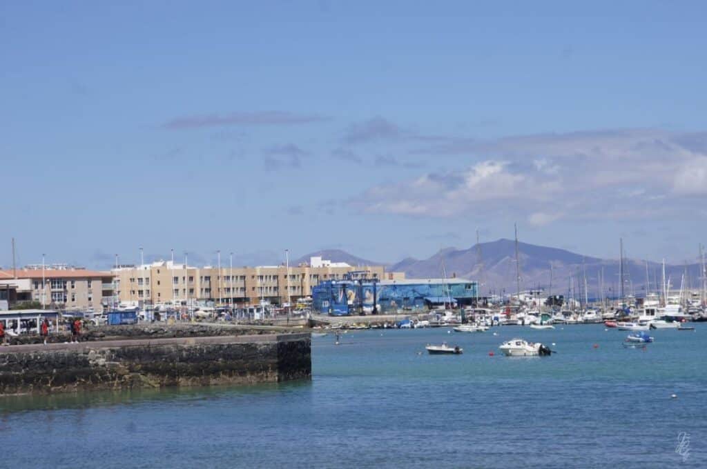 The harbour in Corralejo