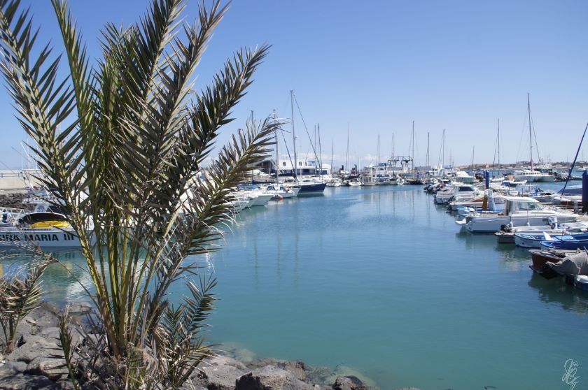 The harbour in Corralejo