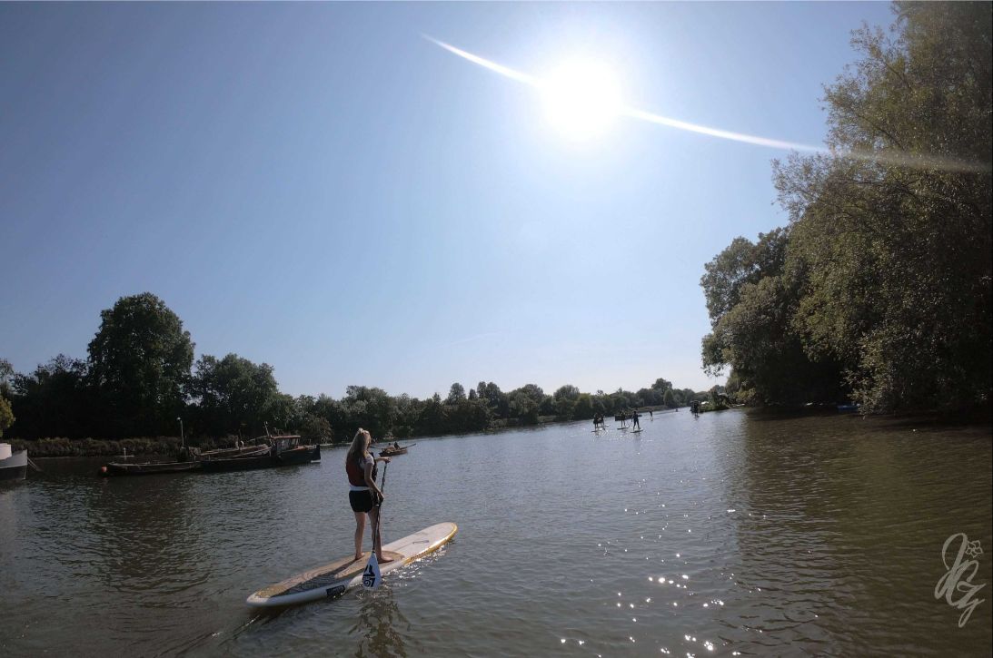Paddle boarding in Richmond