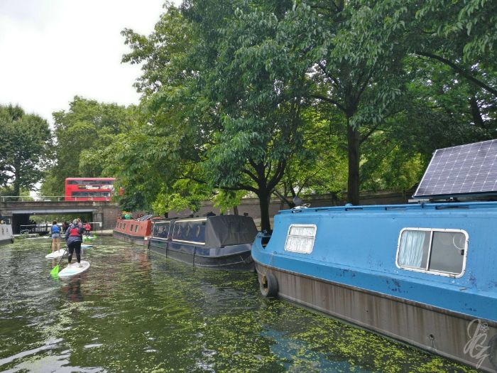 SUP in Paddington