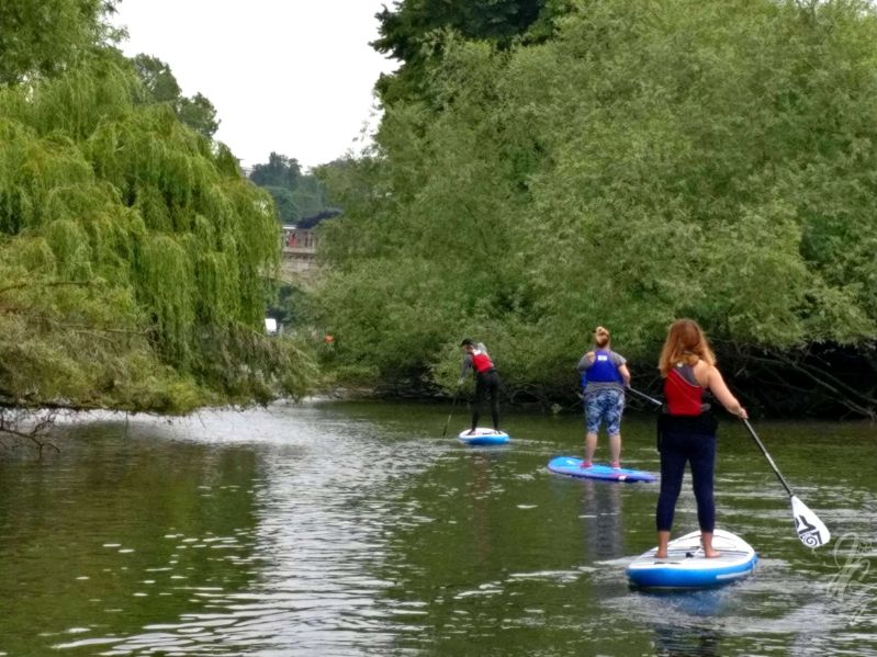 Paddle boarding in Richmond
