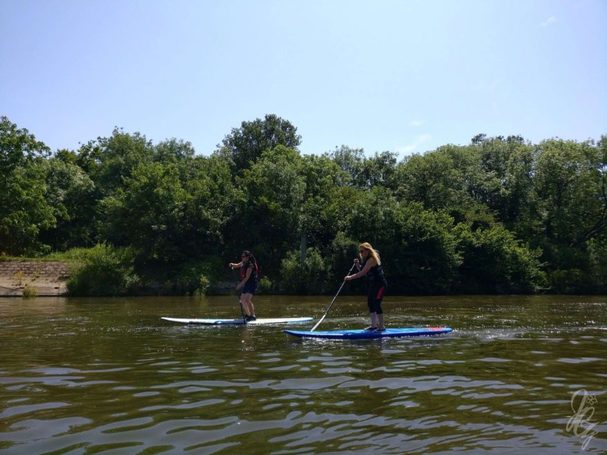 Paddle boarding in Richmond