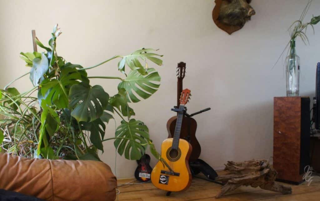 Living room at Carwyn's surf house
