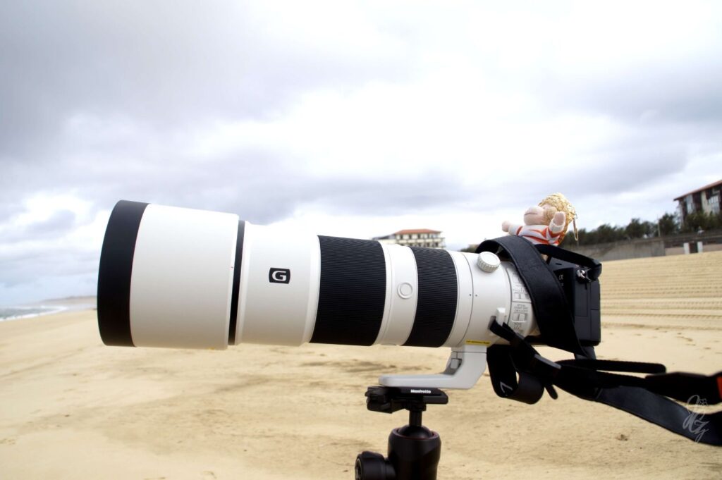Charlie at the camera on the beach