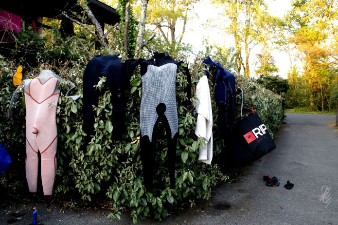 Wetsuits hanging in the bushes to dry