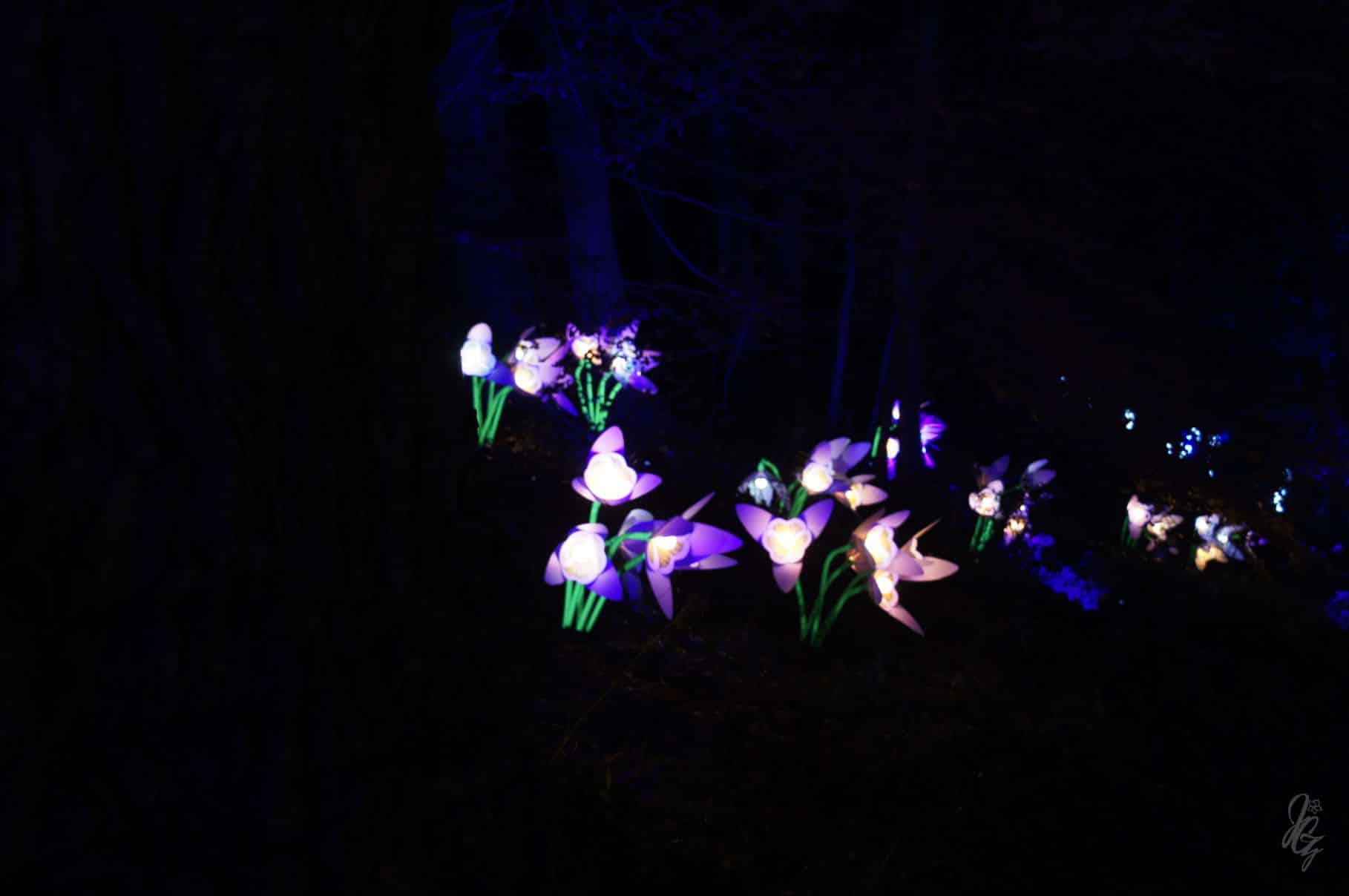 festive flowers in the forest at Blenheim Palace