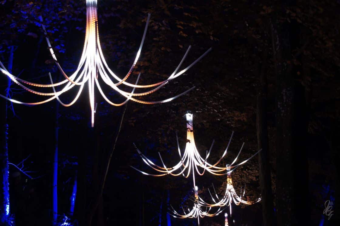 festive flowers in the forest at Blenheim Palace
