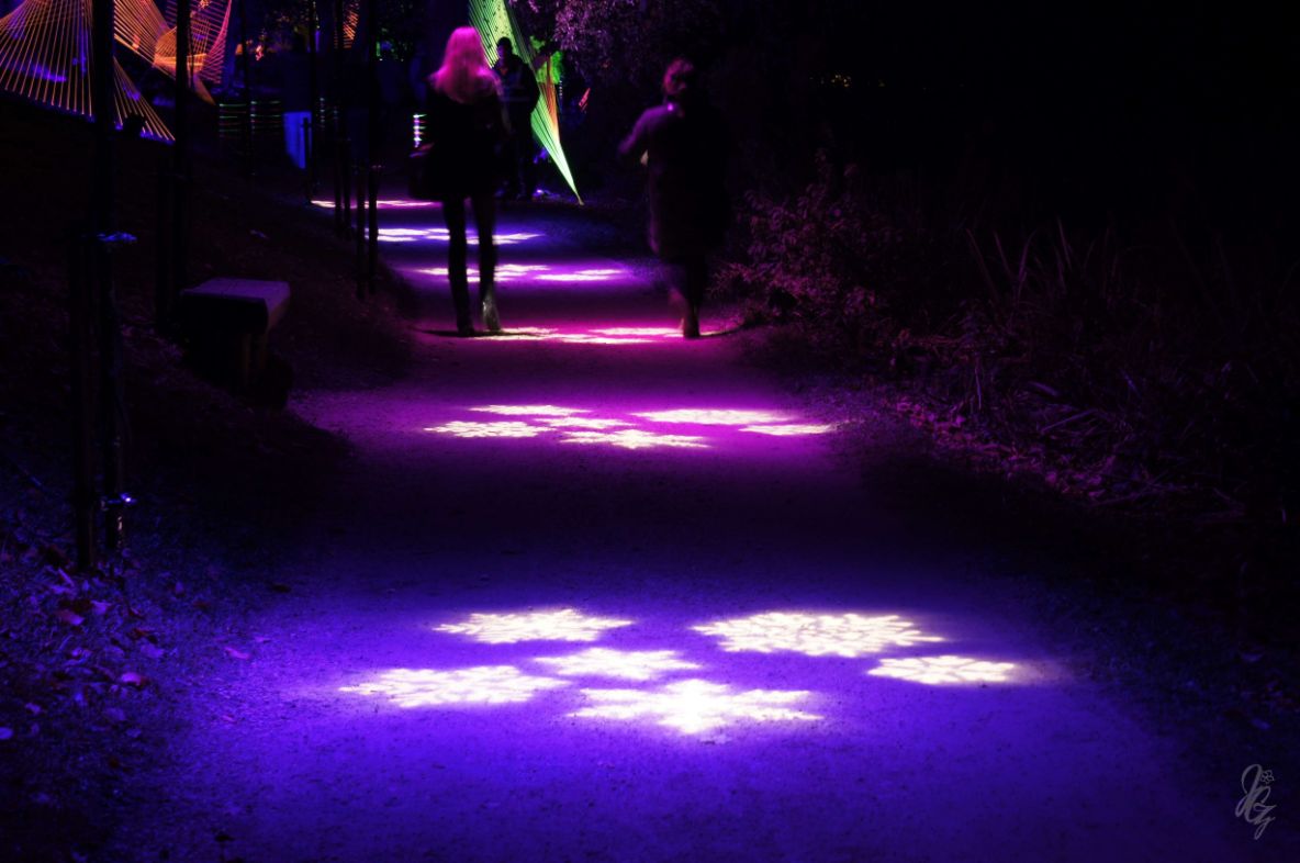 light trail at Blenheim Palace