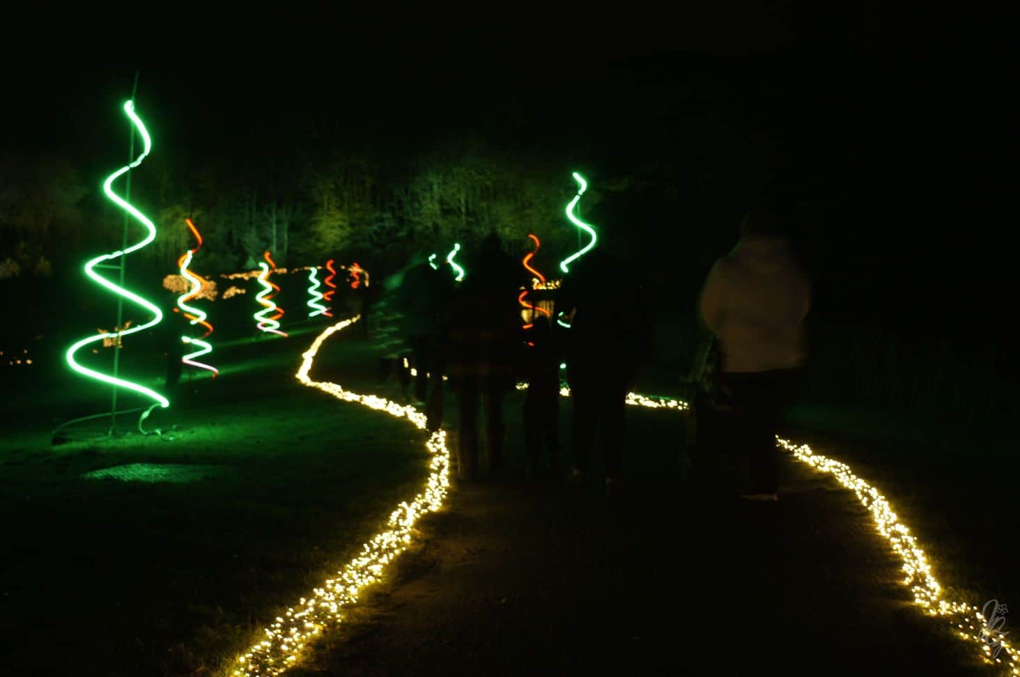 Christmas light trail at the park at Blenheim Palace