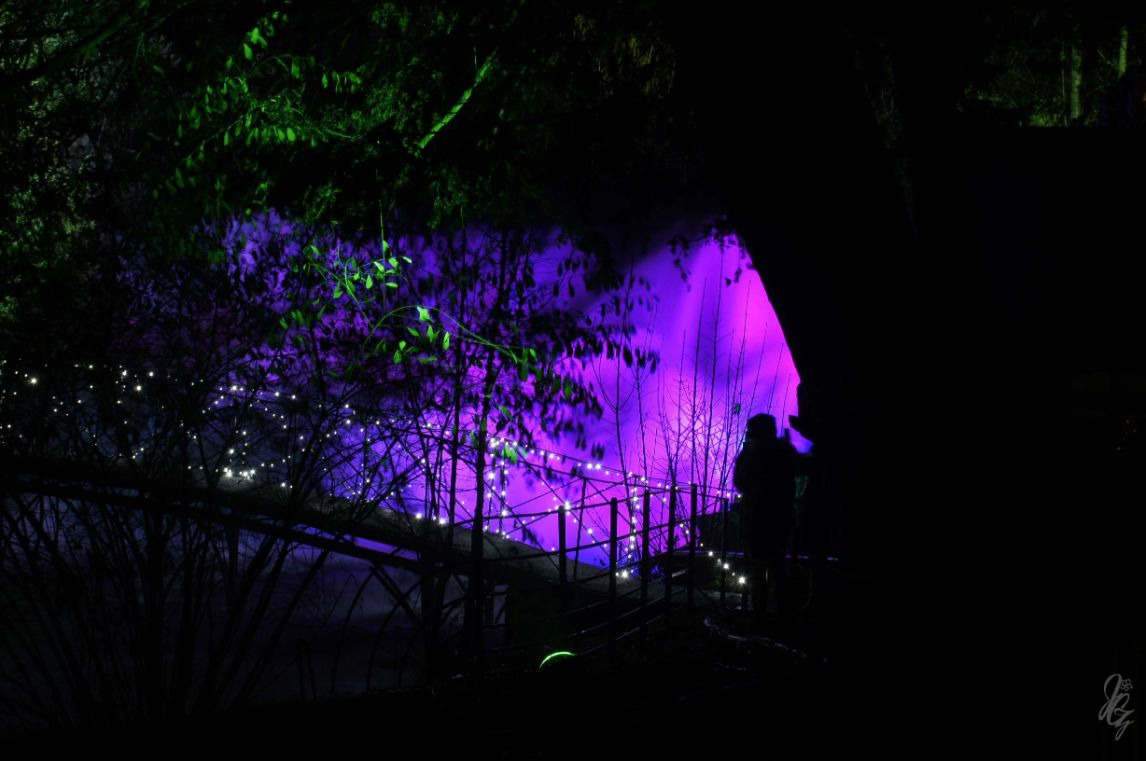 waterfalls at Blenheim Palace