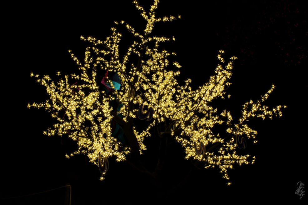 Alice in the Palace at Bleinheim Palace for Christmas