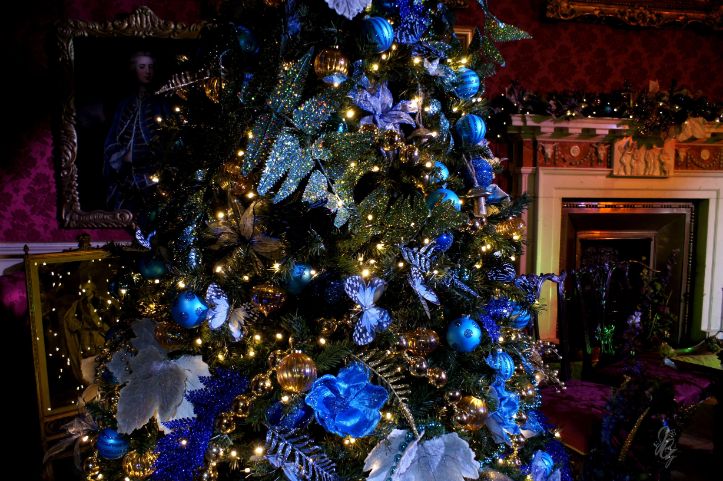 Alice in the Palace at Bleinheim Palace for Christmas