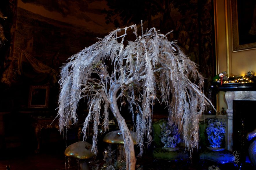 Alice in the Palace at Bleinheim Palace for Christmas