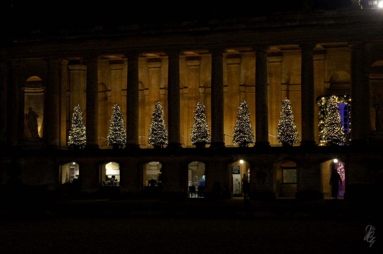 christmas trees in front of the palace