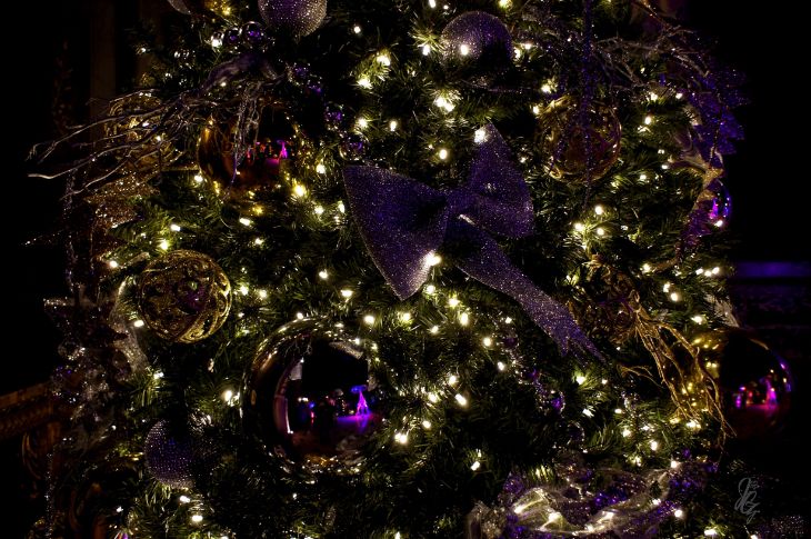 Alice in the Palace at Bleinheim Palace for Christmas