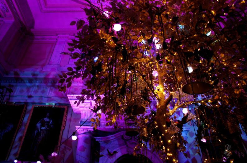 Alice in the Palace at Bleinheim Palace for Christmas