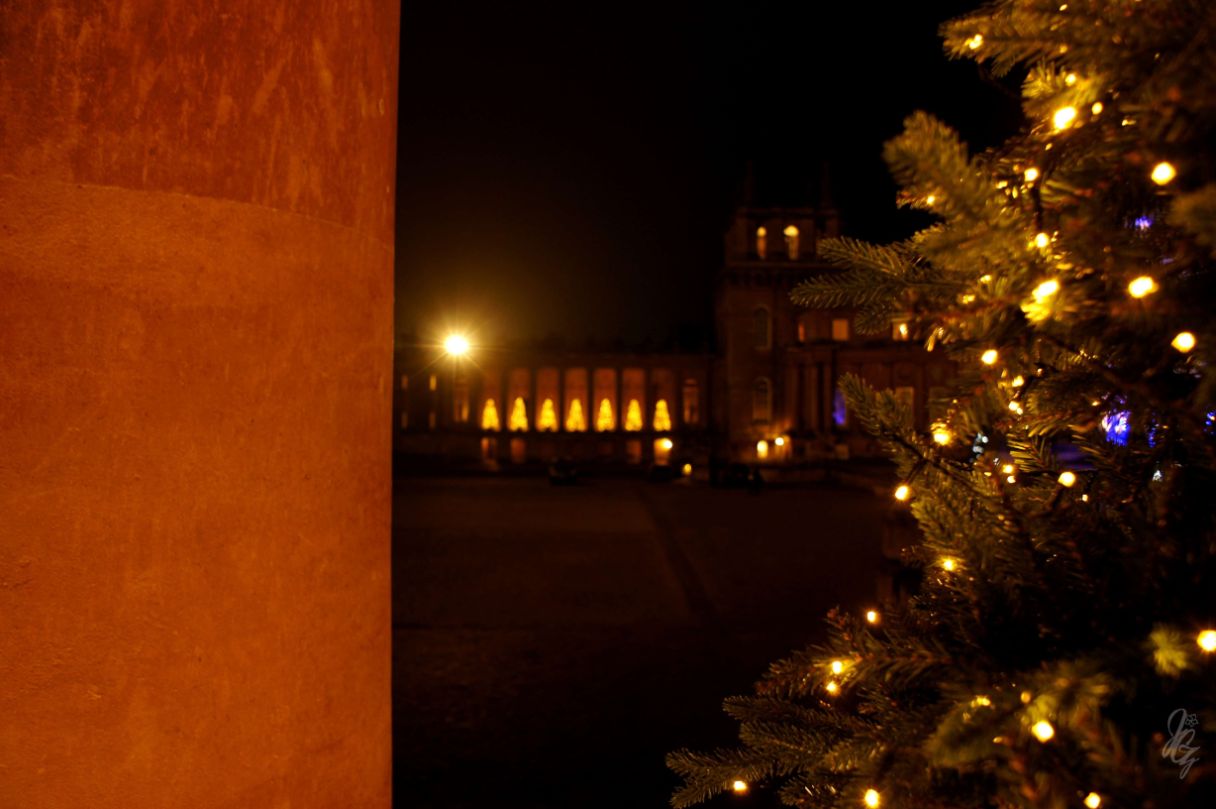 christmas trees in front of the palace