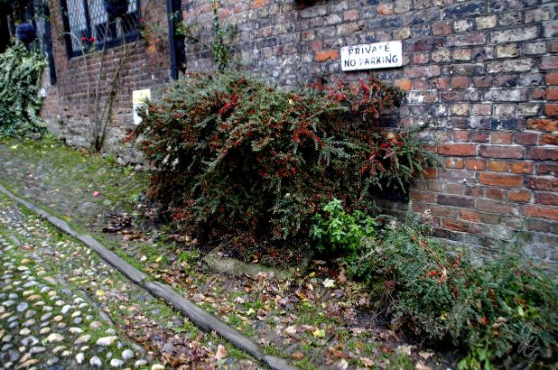 Mermaid Street in Rye