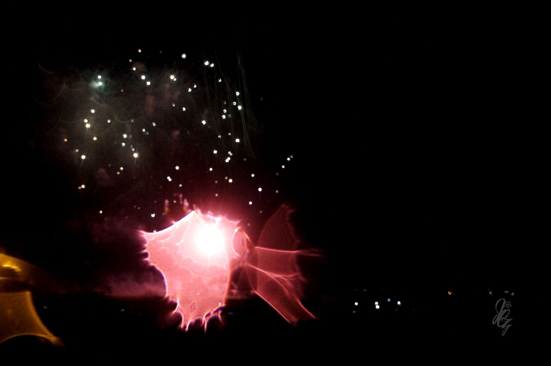 Fireworks during Bonfire Night in Rye