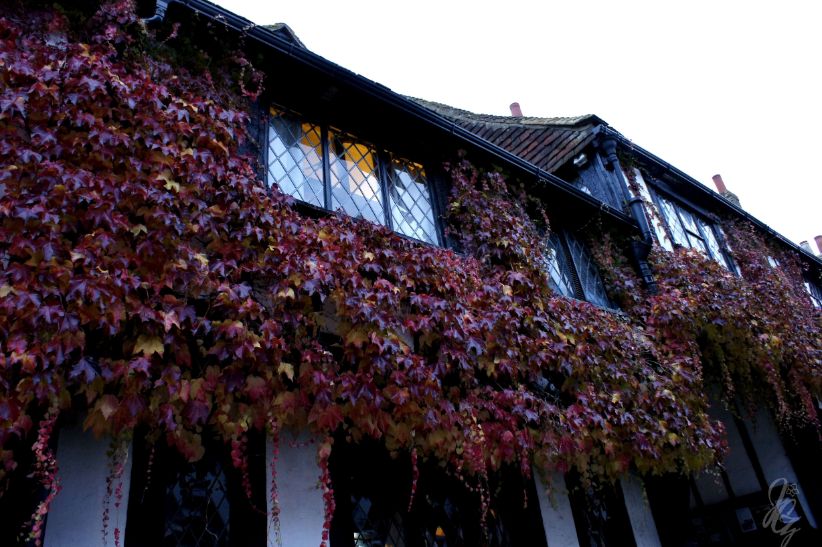 Houses in Rye