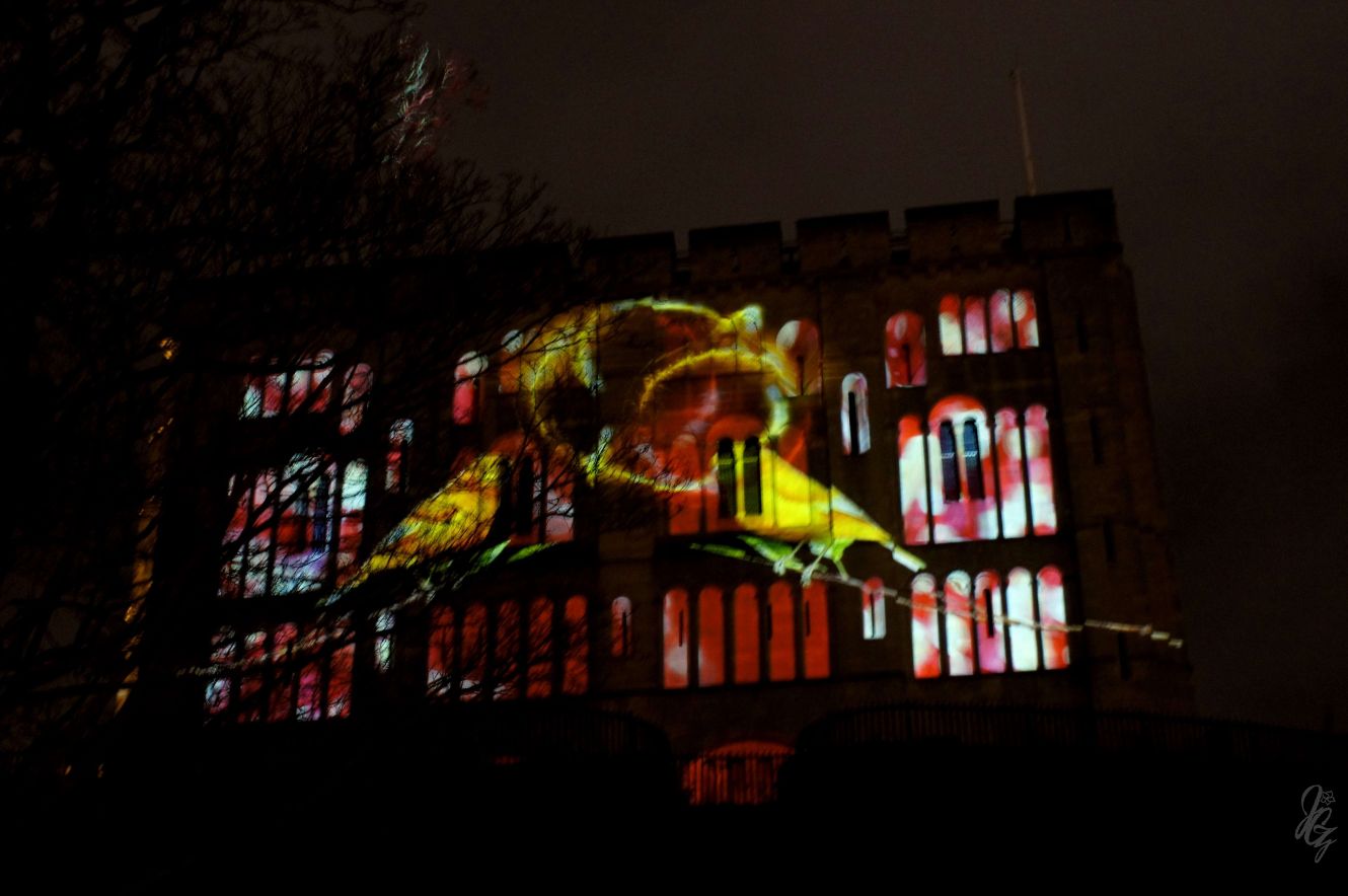Love Light Festival Norwich