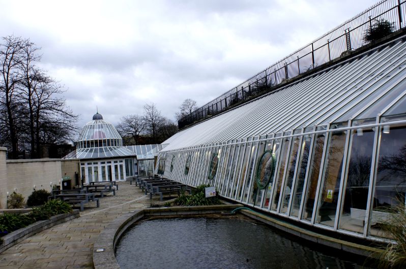 On the grounds around Norwich Castle