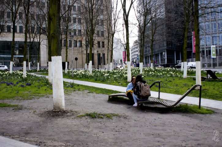 Green space in front of St.Michaels Cathedral in Brussels