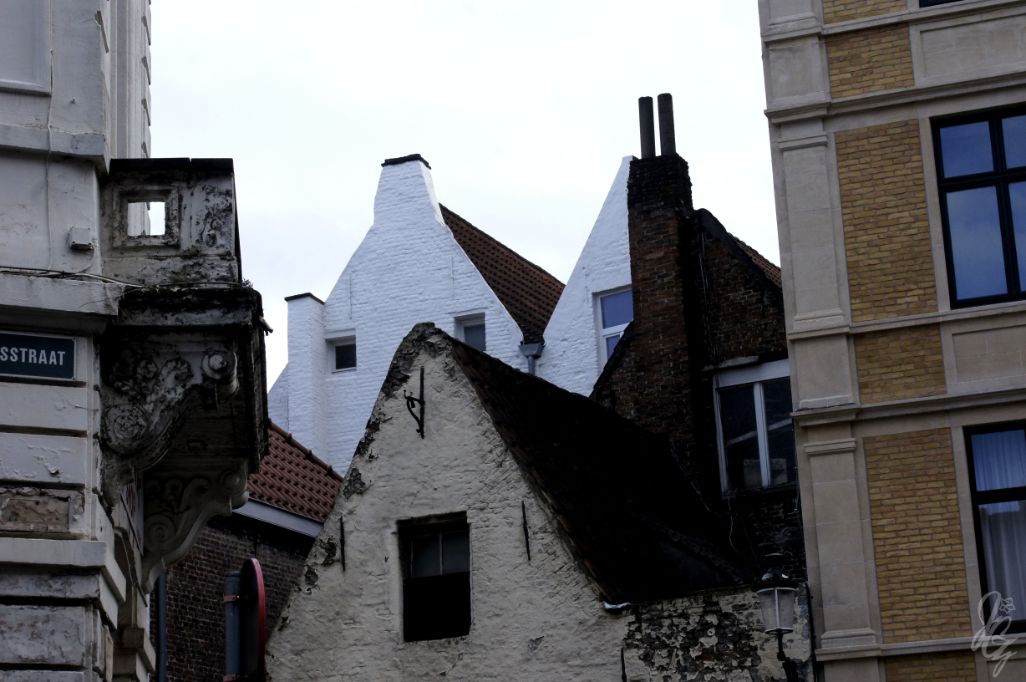 Houses and roofs in Bruges