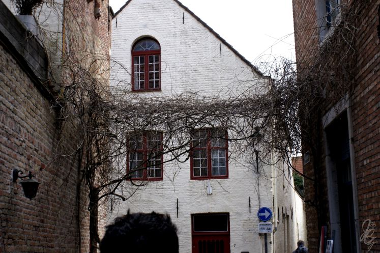 Houses in Bruges