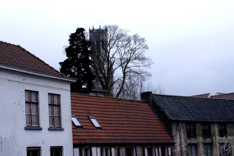 Houses in Bruges.