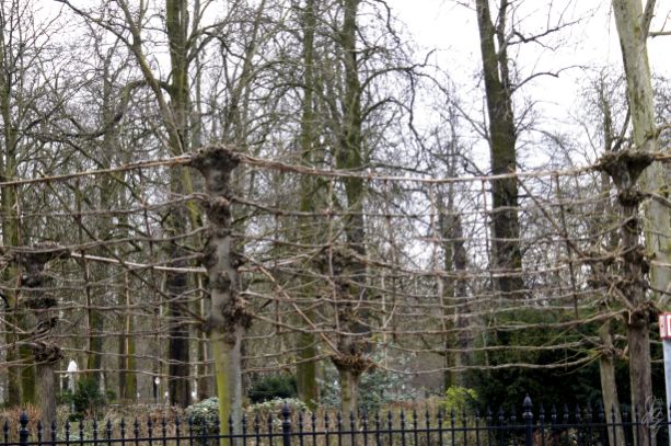 Warandepark in Brussels