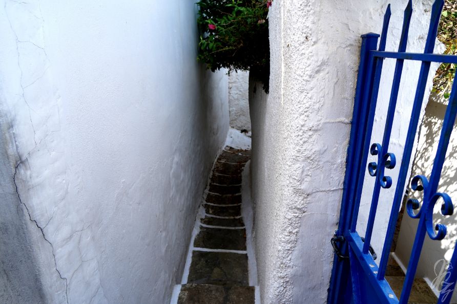 small path in Dryopida