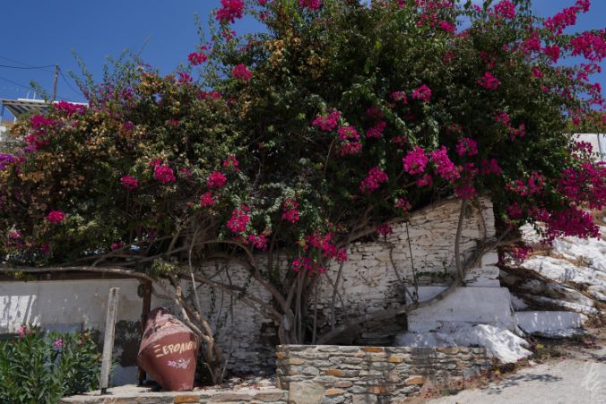 At the harbour in Loutra, Kythnos