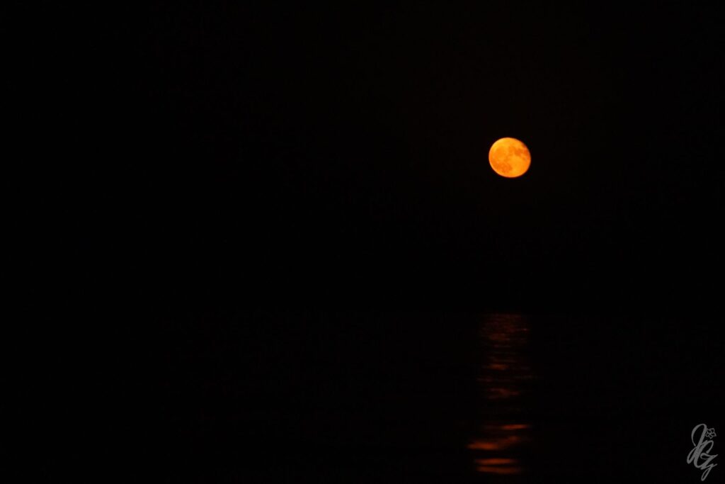 Red moon over the sea