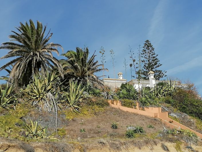 The beach in Caños de Meca