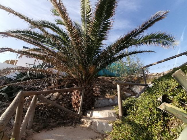 The beach in Caños de Meca