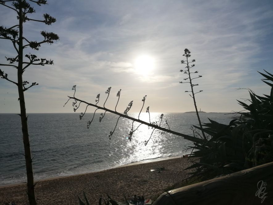 The beach in Caños de Meca
