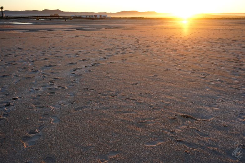 Footsteps in the sand