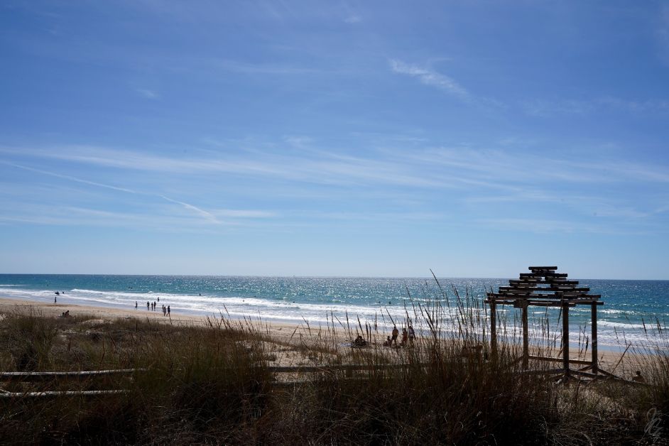 El Palmar
