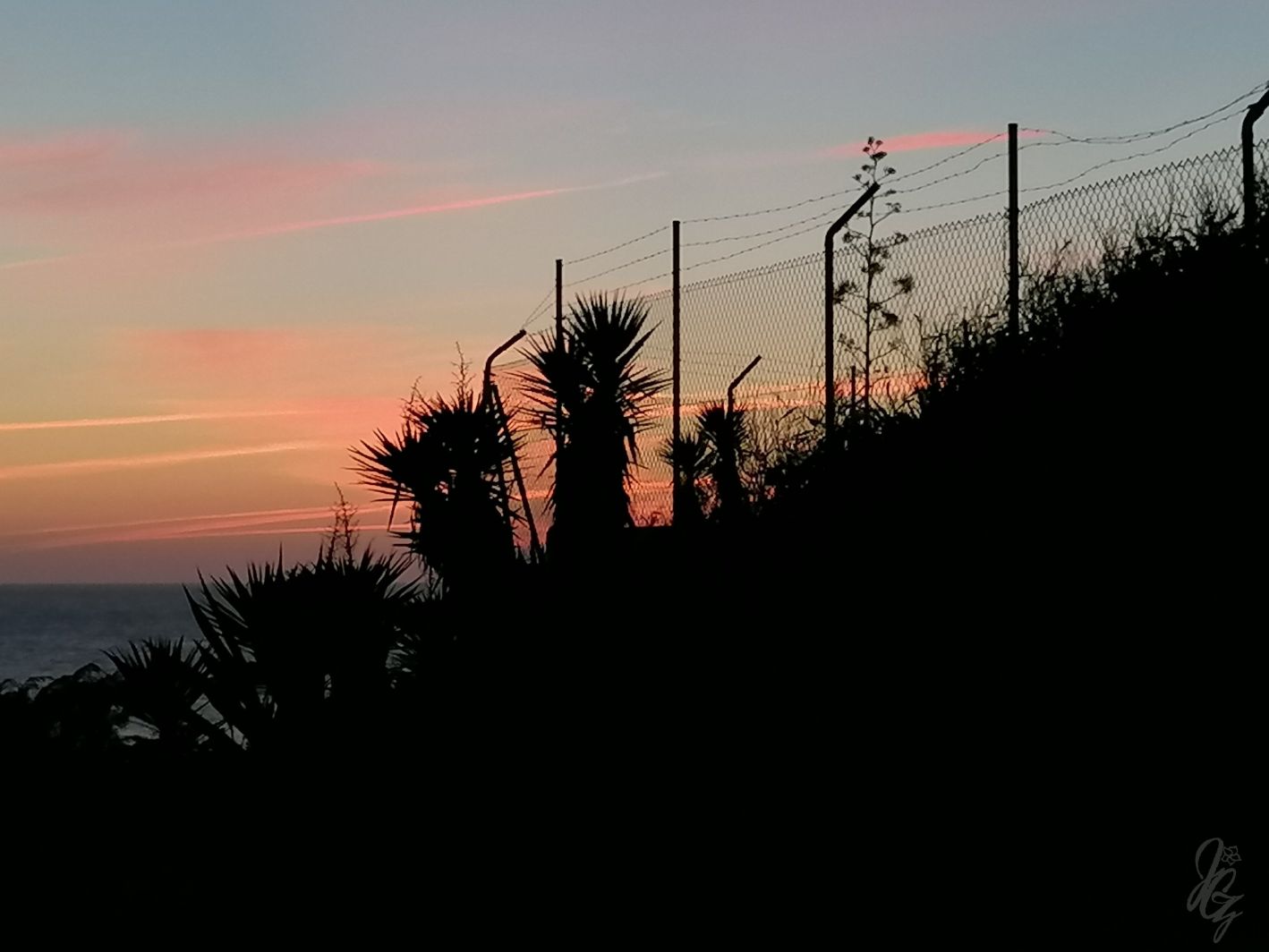 Palm trees at Faro Trafalgar at Sunset