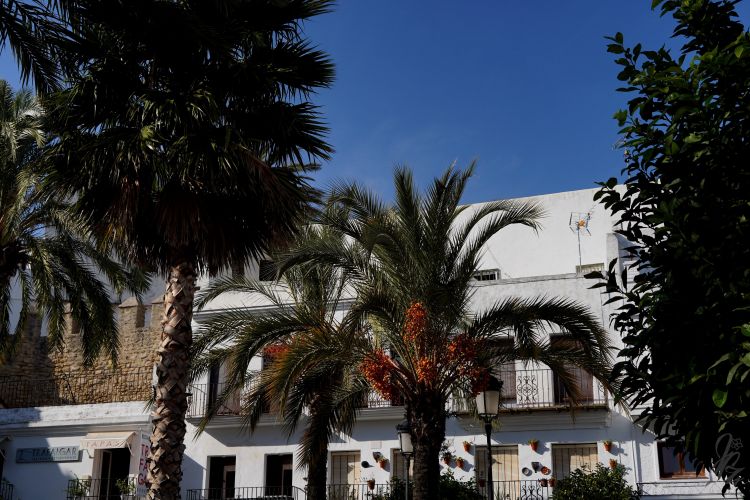 The main square in Vejer de la Frontera