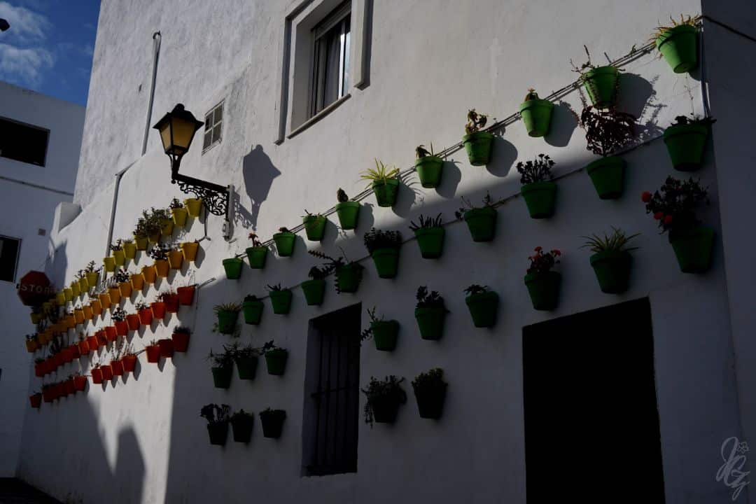 Colourful plant pots and palm trees in Vejer de la Frontera