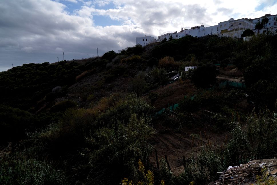 View over the valley from Vejer de la Frontera