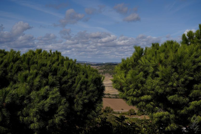 View over the landscape from Vejer de la Frontera