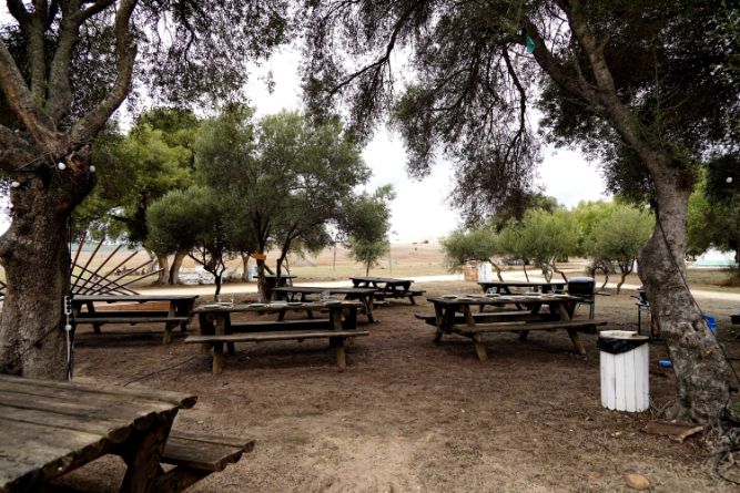 Picknick tables at Wakana