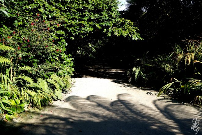 The Lost Gardens of Heligan